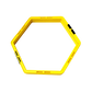 Fitness Agility Grid System